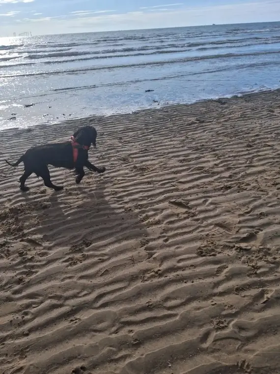 A beach day on the Sefton coast