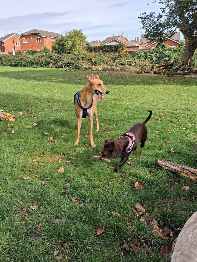Group walk at Sefton Park