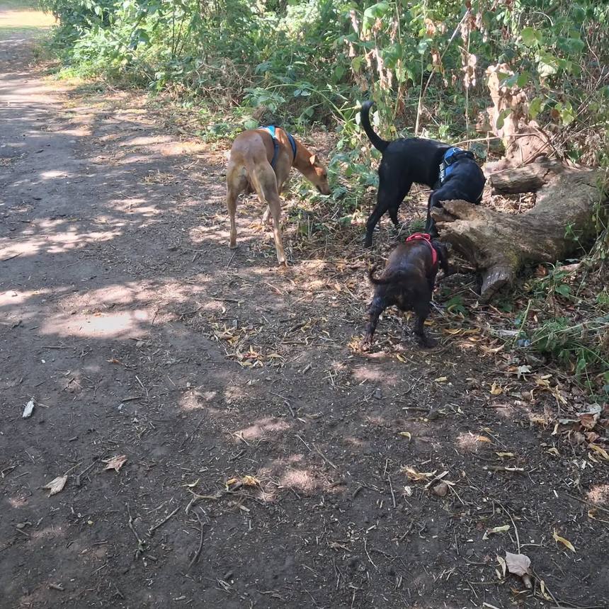 Exploring near Childwall