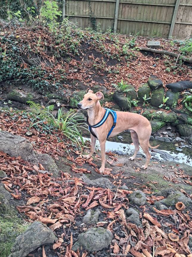 Exploring near Broadgreen